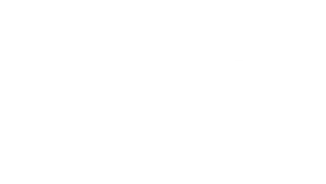 premier-league-logo-white